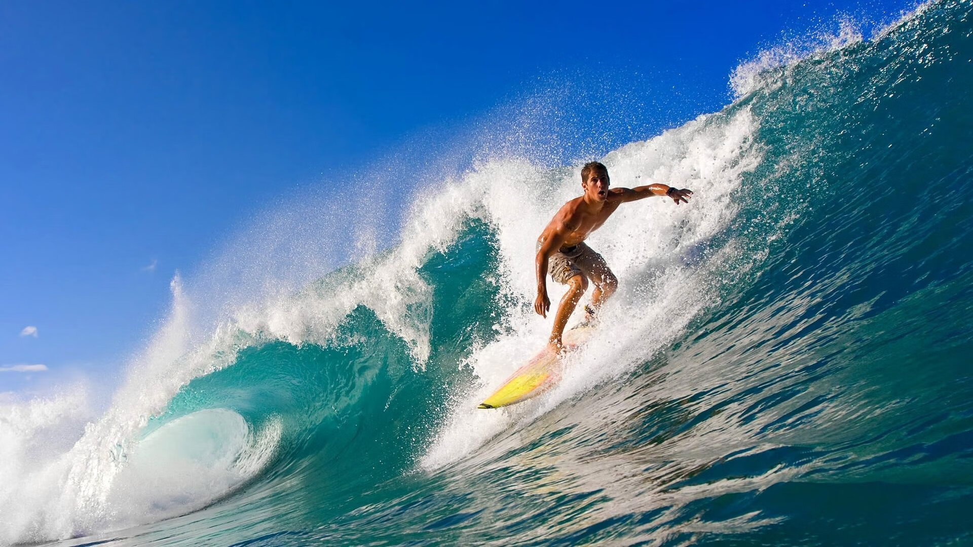 《顶级直播平台策略：如何吸引更多粉丝？》，这样直播才吸引人